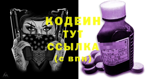 PSILOCYBIN Бородино