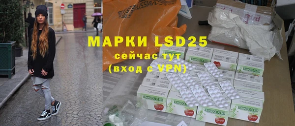 PSILOCYBIN Бородино