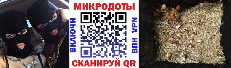 кракен ссылки  Карасук  Псилоцибиновые грибы GOLDEN TEACHER 